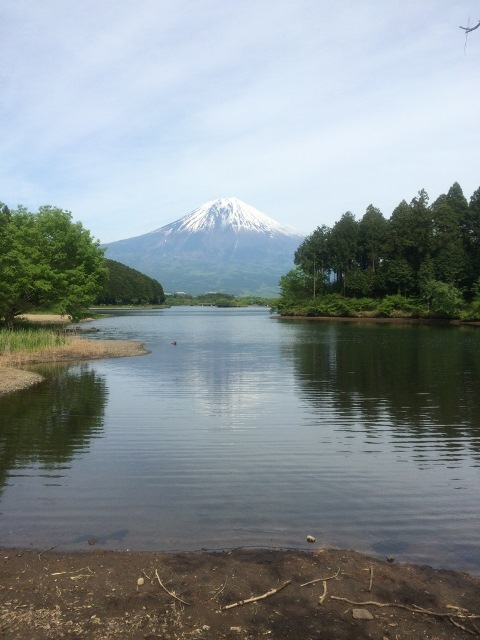 ブログを更新しました